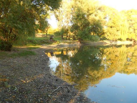 dscn2794.jpg